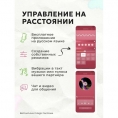 Смарт вибро-яйцо с вакуумным стимулятором и зарядным кейсом BeYourLover Magic Suitcase